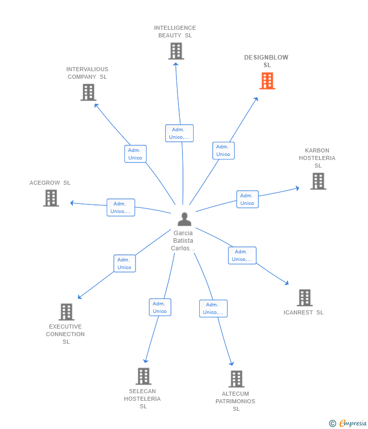 Vinculaciones societarias de DESIGNBLOW SL