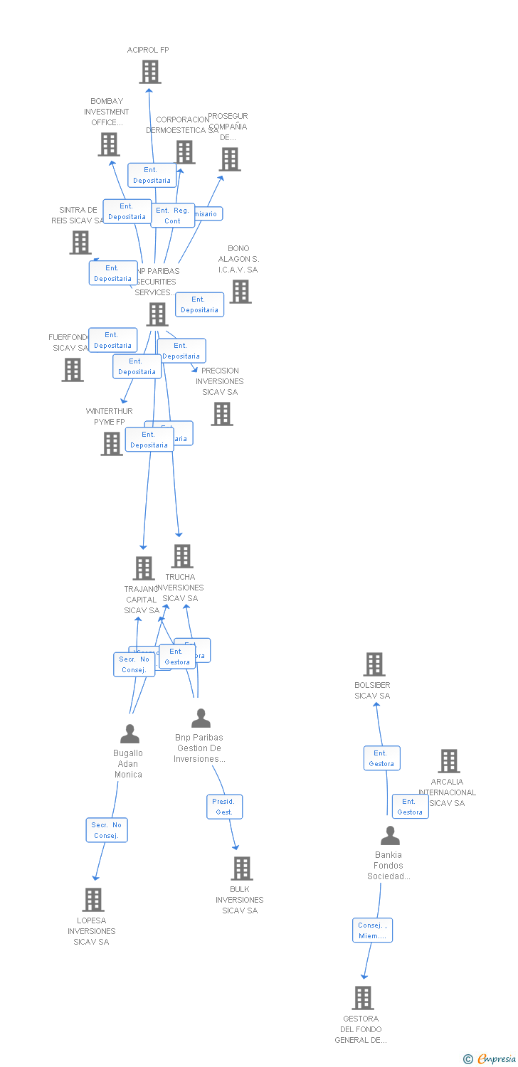 Vinculaciones societarias de TEHYS INVERSIONES SICAV SA