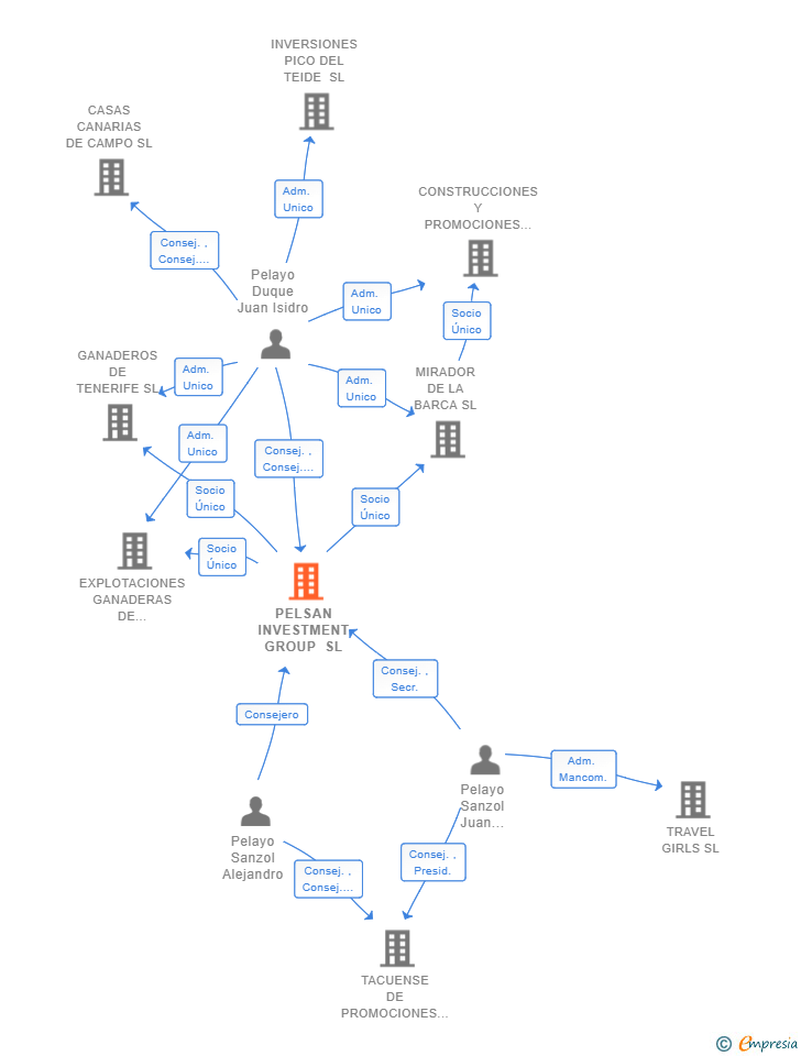 Vinculaciones societarias de PELSAN INVESTMENT GROUP SL