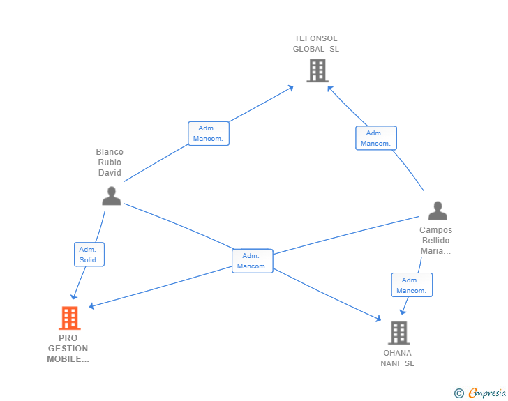 Vinculaciones societarias de PRO GESTION MOBILE DL SL