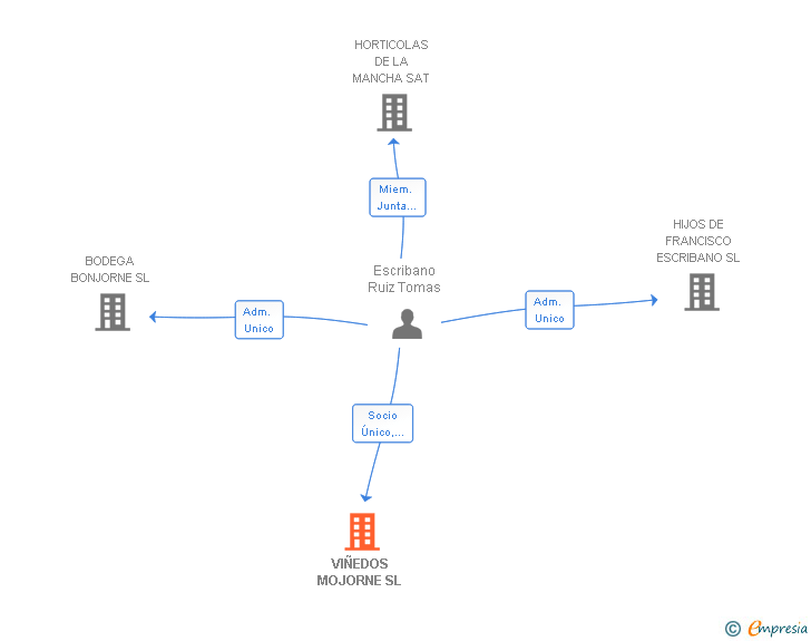 Vinculaciones societarias de VIÑEDOS MOJORNE SL
