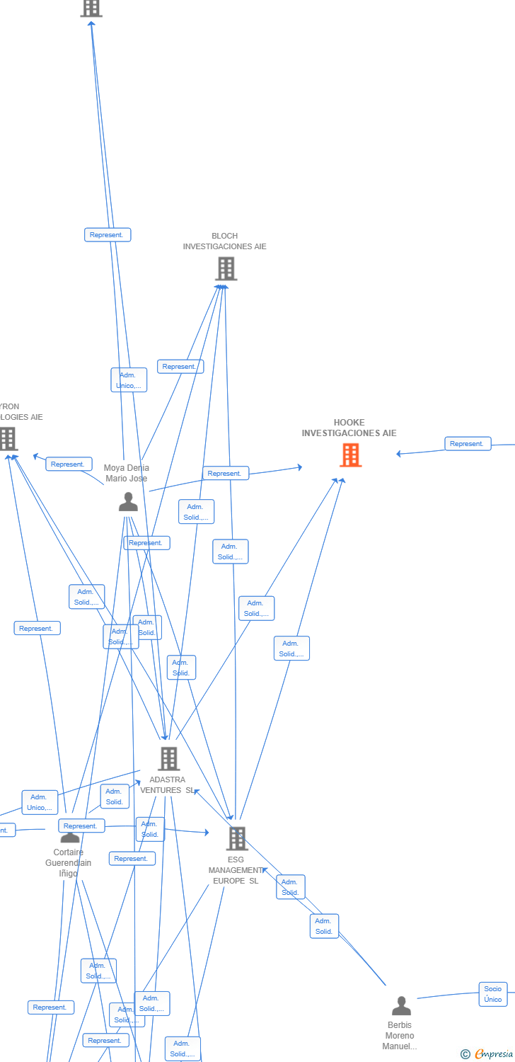 Vinculaciones societarias de HOOKE INVESTIGACIONES AIE