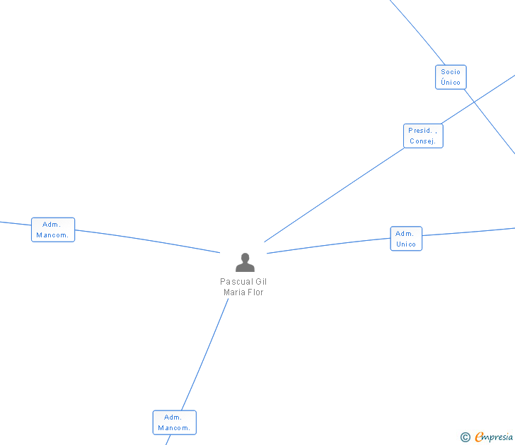 Vinculaciones societarias de SERVICIOS INTEGRALES DE IMPRESION PASCUAL SL