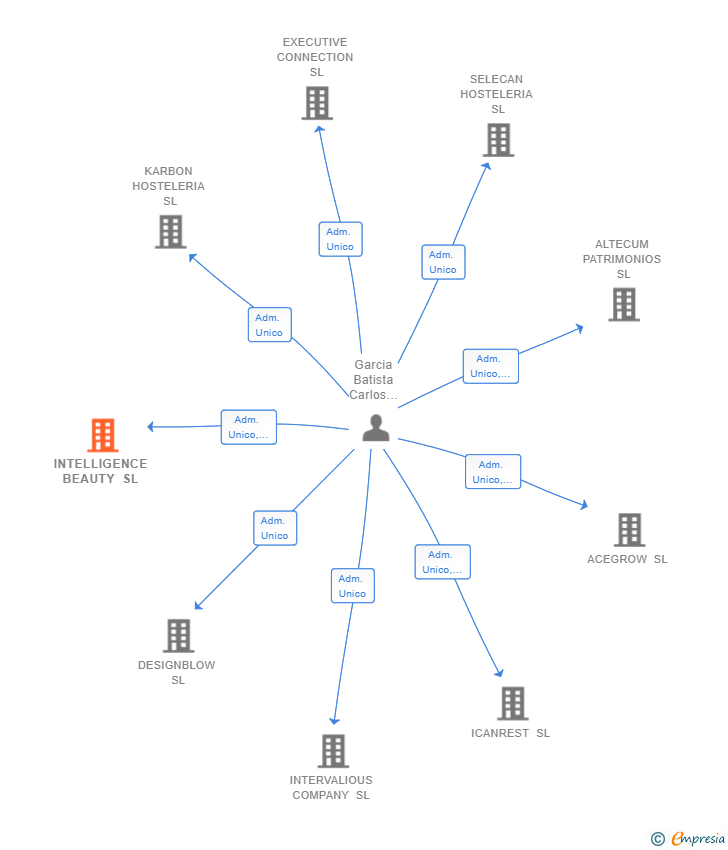 Vinculaciones societarias de INTELLIGENCE BEAUTY SL