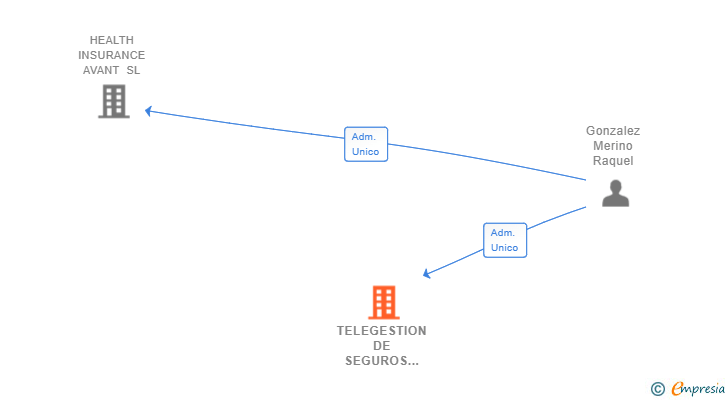 Vinculaciones societarias de TELEGESTION DE SEGUROS Y SOLUCIONES AVANT SL