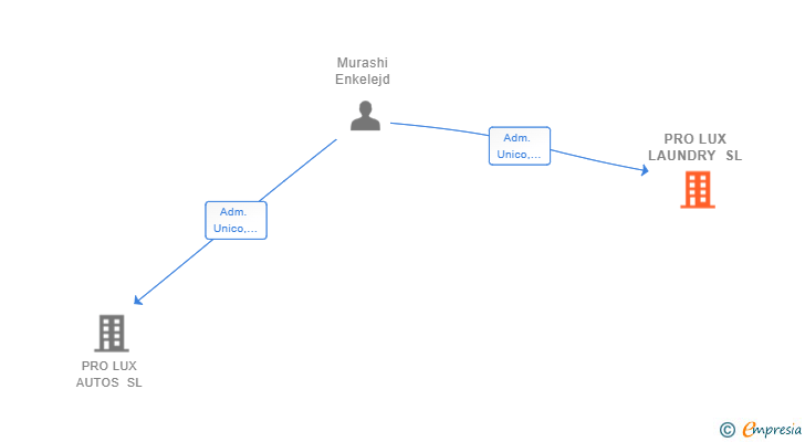 Vinculaciones societarias de PRO LUX LAUNDRY SL