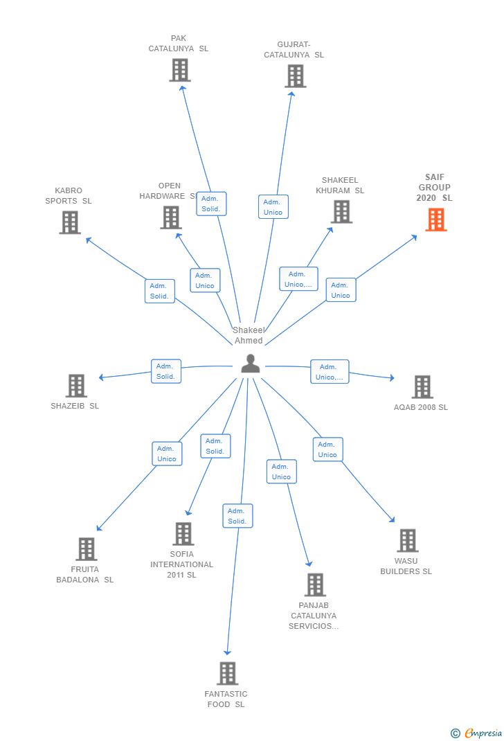 Vinculaciones societarias de SAIF GROUP 2020 SL