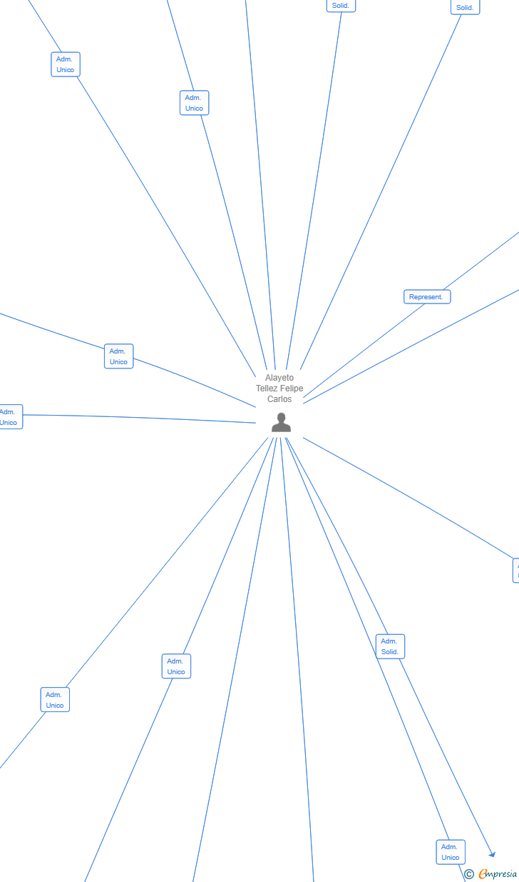Vinculaciones societarias de ALRO DEVELOPMENT SL