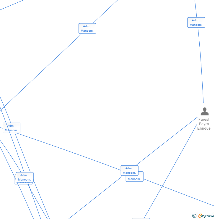 Vinculaciones societarias de INVERSIONES PEYFUR SL