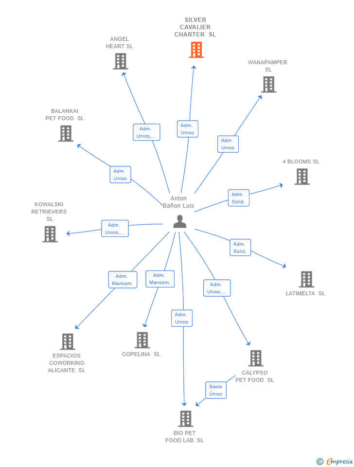 Vinculaciones societarias de SILVER CAVALIER CHARTER SL