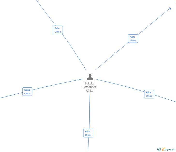 Vinculaciones societarias de LLEBEIG ADVISORS SL