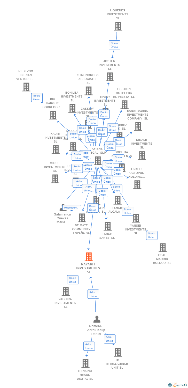 Vinculaciones societarias de TRADETECH PARTNERS SL