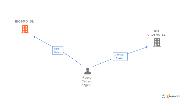 Vinculaciones societarias de BIOSMO SL