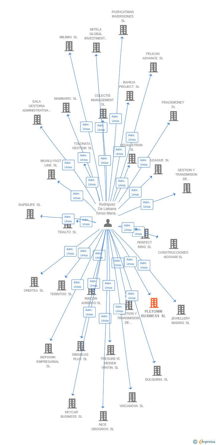 Vinculaciones societarias de PLETOWN BUSINESS SL