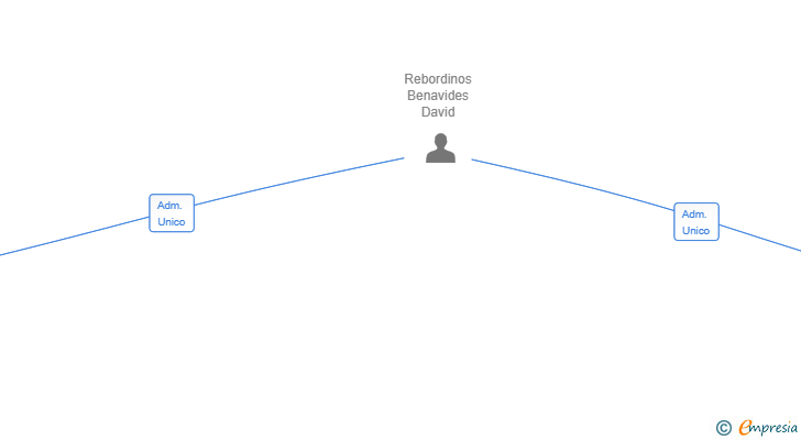 Vinculaciones societarias de PALAU & REBORDINOS SL