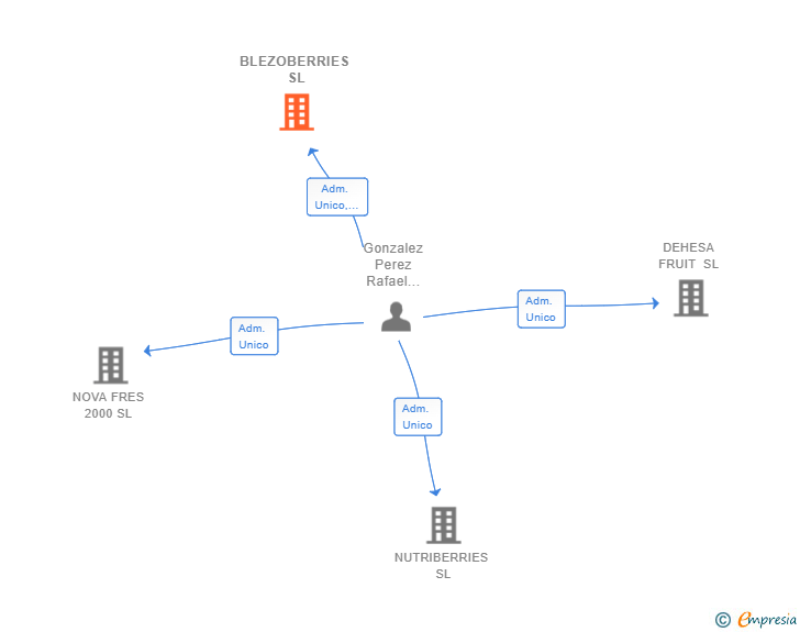 Vinculaciones societarias de BLEZOBERRIES SL