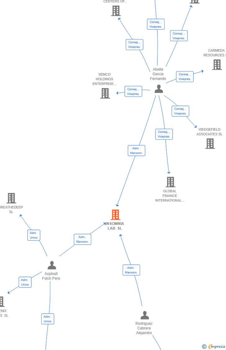 Vinculaciones societarias de INSOMNIA LAB SL