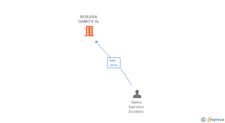 Vinculaciones societarias de BORJIVA GAMO'S SL