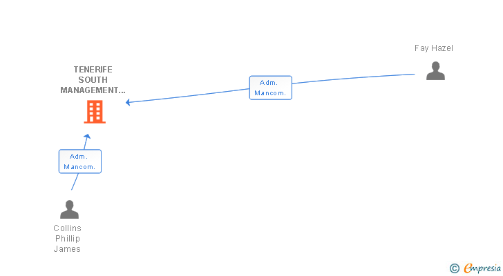 Vinculaciones societarias de TENERIFE SOUTH MANAGEMENT AND RENTALS SL