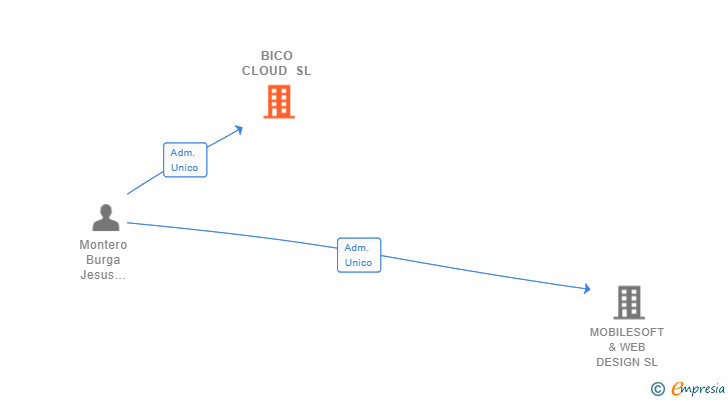 Vinculaciones societarias de BICO CLOUD SL