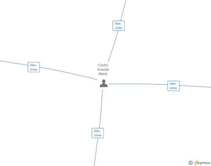 Vinculaciones societarias de KINGVIL SL