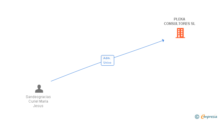 Vinculaciones societarias de PLEKA CONSULTORES SL