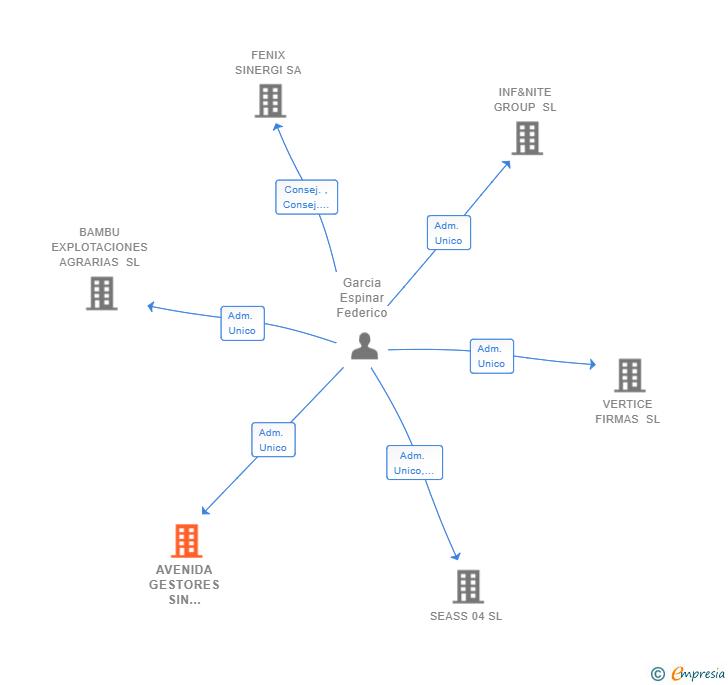 Vinculaciones societarias de AVENIDA GESTORES SIN FRONTERAS SL